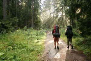 Wellsboro Area Hiking Excursions