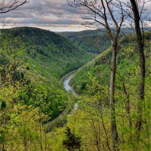 PA Grand Canyon in Springtime