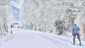 A cross-country skier on a snowy trail